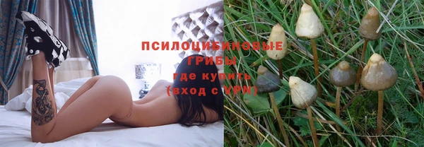амф Солнечногорск