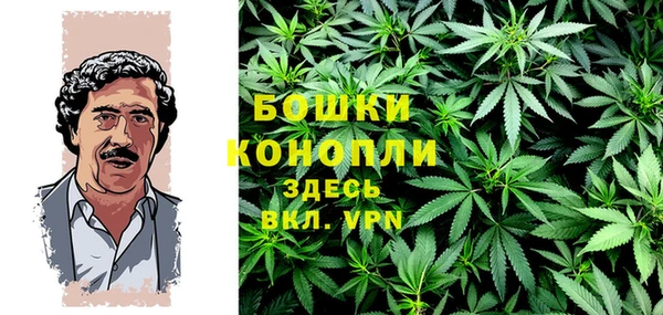 прущие грибы Володарск