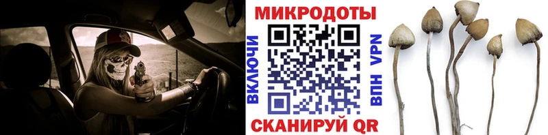 Галлюциногенные грибы MAGIC MUSHROOMS  Сретенск 